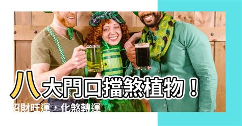 九重葛擋煞|九重葛風水擺設指南：招財旺運，避開騰蛇勾絞煞 